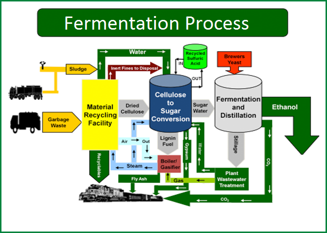 Fellowship of National Sugar Institute in Fermentation Technology 